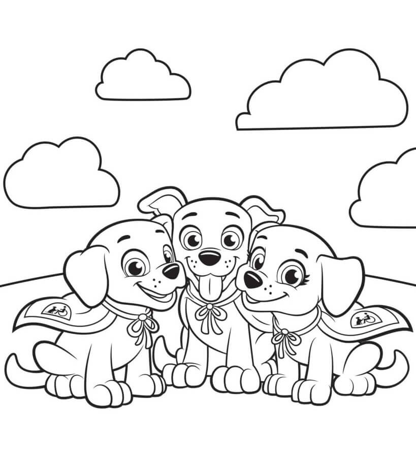 Desenho de Patrulha Canina para imprimir