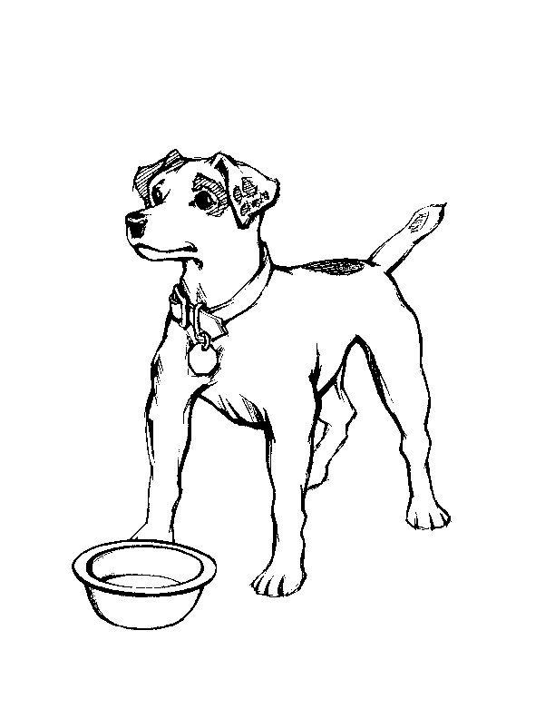 Desenho de Cachorros para imprimir