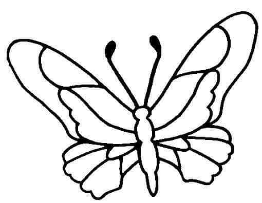 Desenho de Borboletas para imprimir