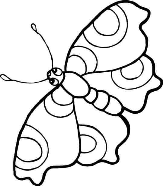 Desenho de Borboletas para imprimir