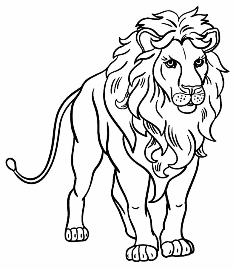 Desenho de Leão para imprimir