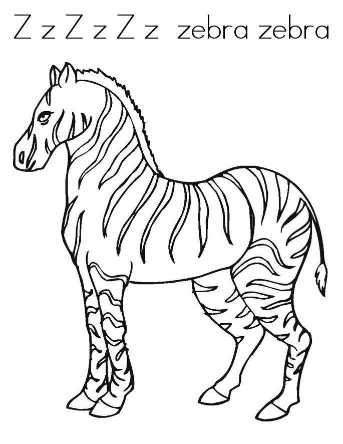 Desenho de Zebras para imprimir