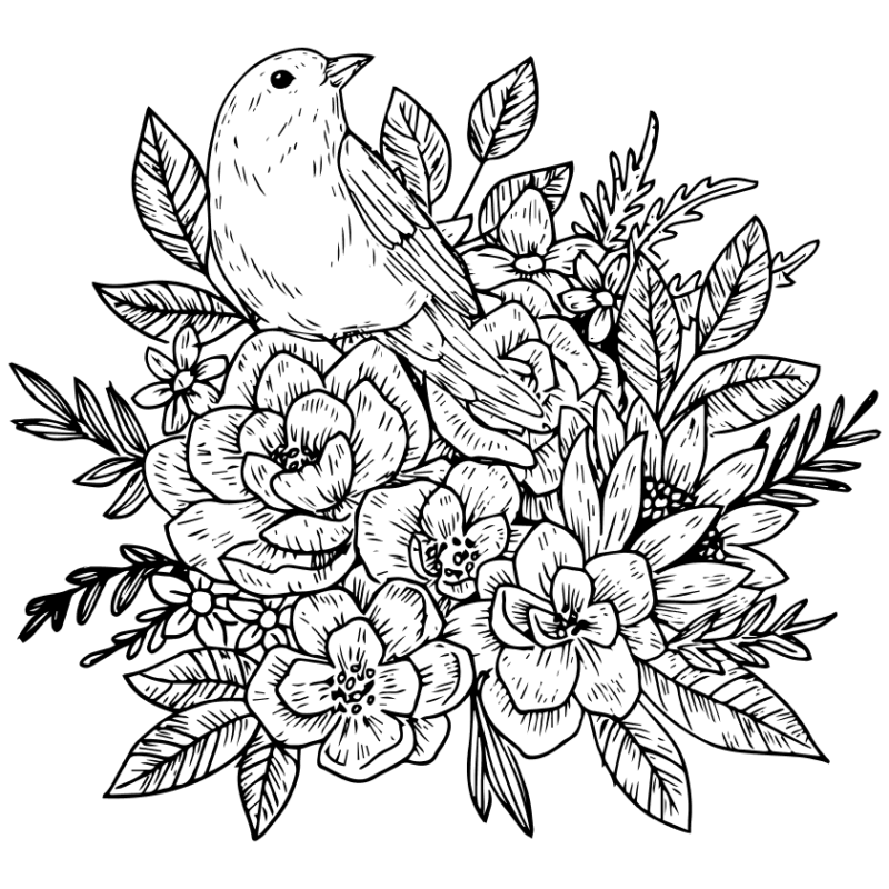 Desenho de Pássaros para imprimir
