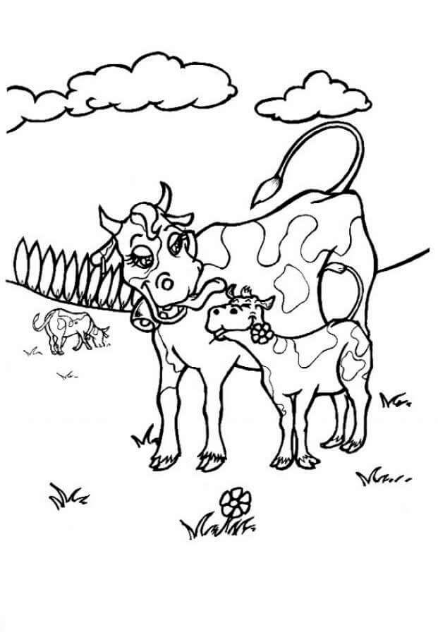 Desenho de Vacas para imprimir