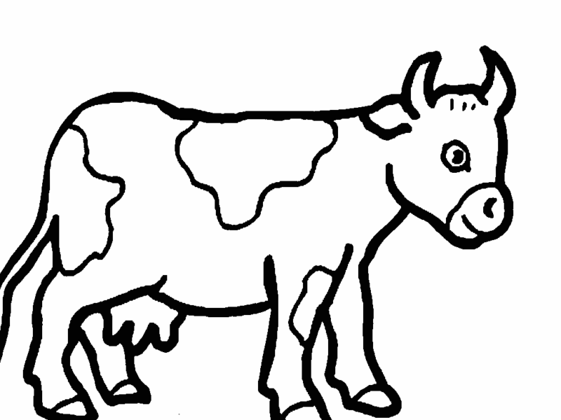 Desenho de Vacas para imprimir