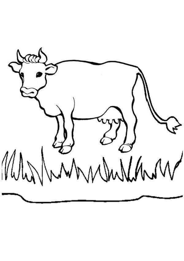 Desenho de Vacas para imprimir