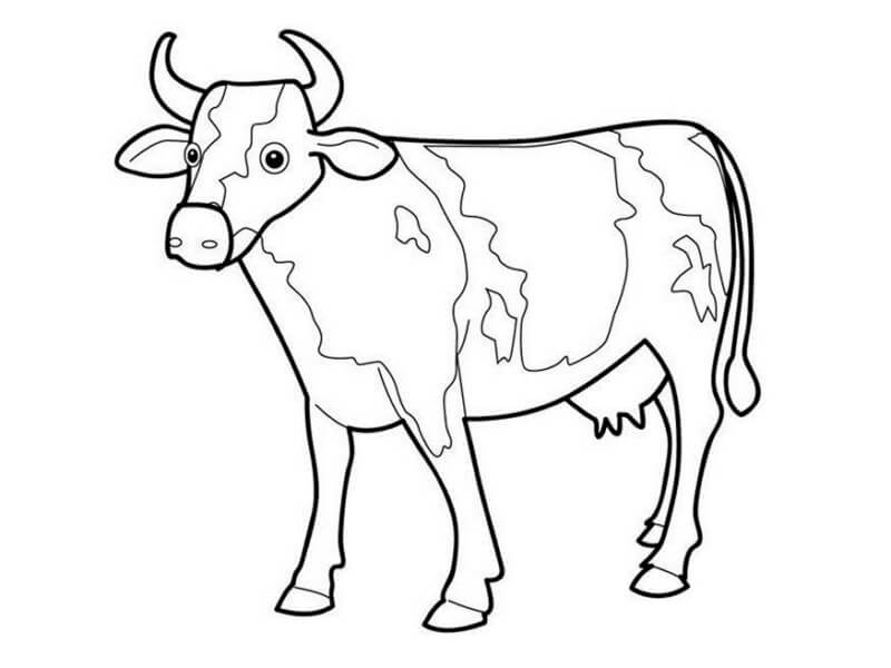 Desenho de Vacas para imprimir