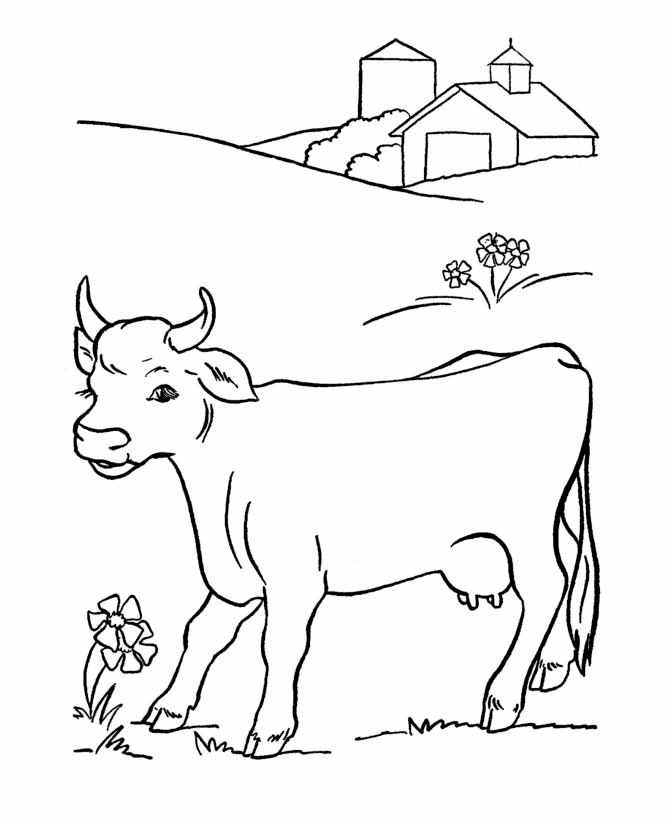 Desenho de Vacas para imprimir