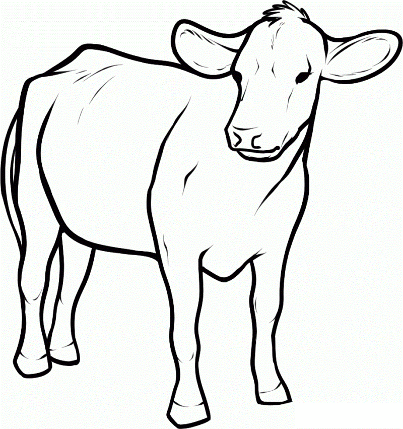 Desenho de Vacas para imprimir