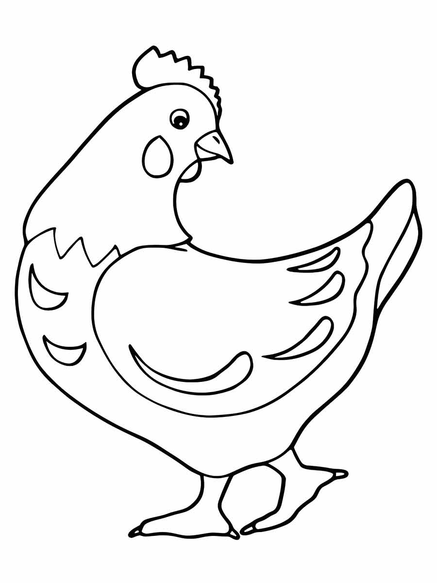 Desenho de Galinhas para imprimir