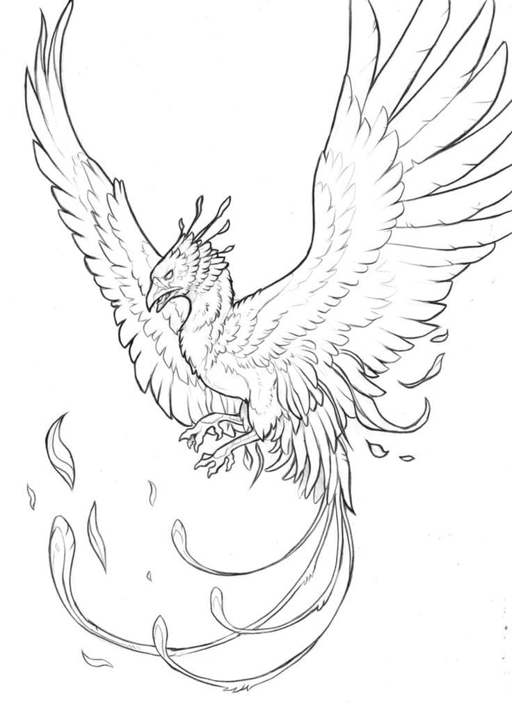 Desenho de Fénix para imprimir