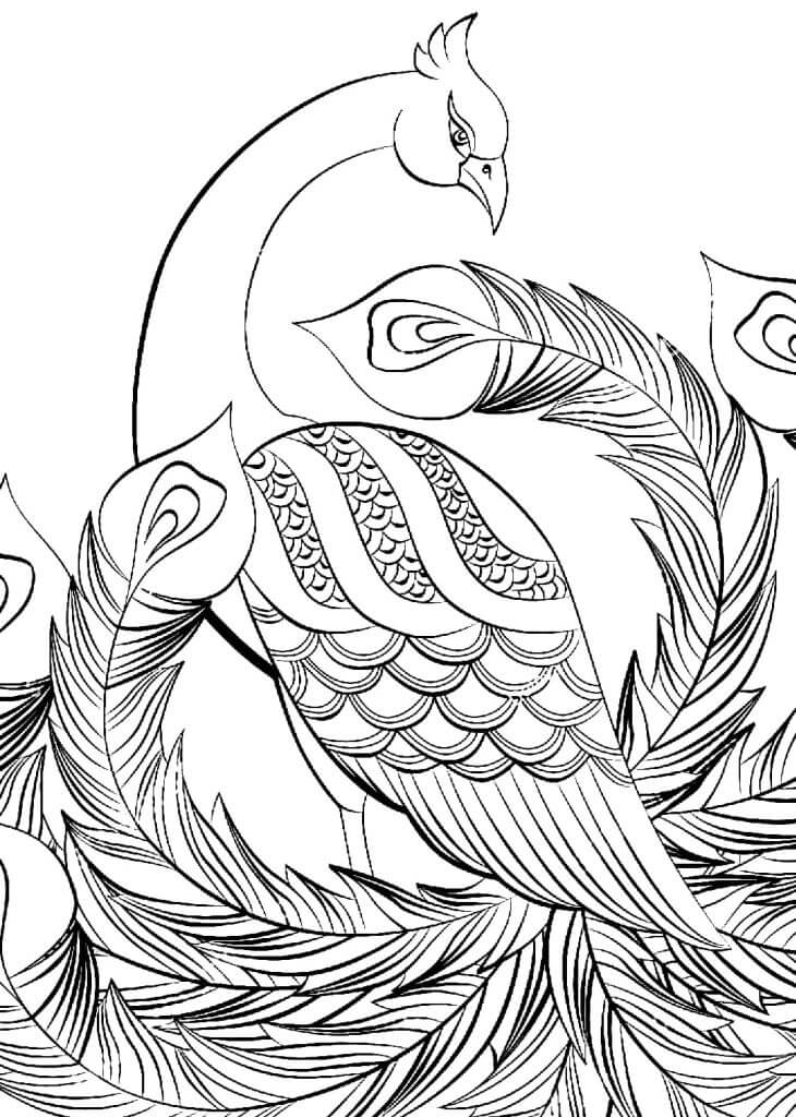 Desenho de Fénix para imprimir