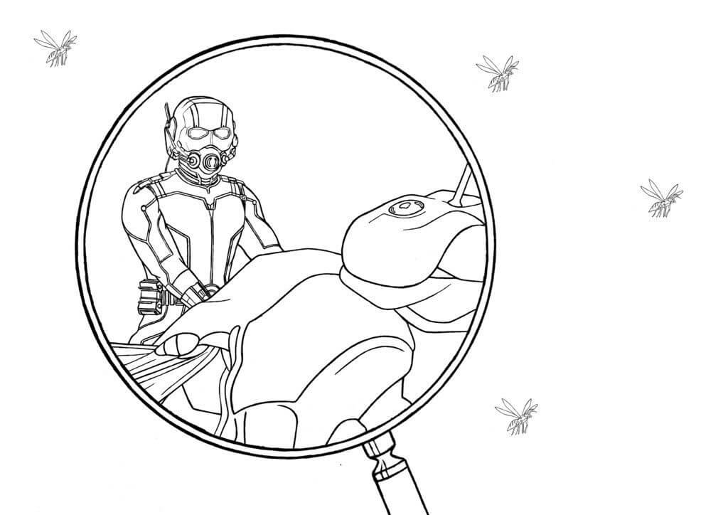 Desenho de Homem-Formiga (Ant-Man) para imprimir