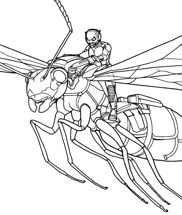 Desenho de Homem-Formiga (Ant-Man) para imprimir