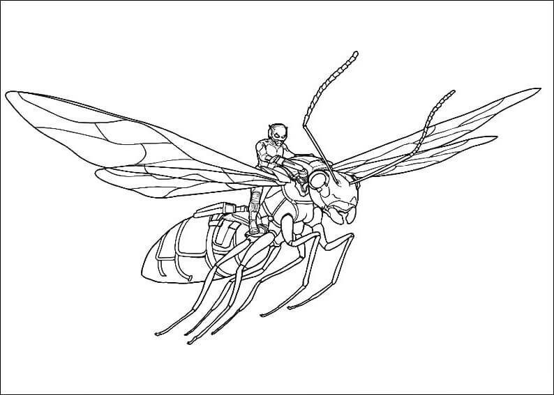 Desenho de Homem-Formiga (Ant-Man) para imprimir