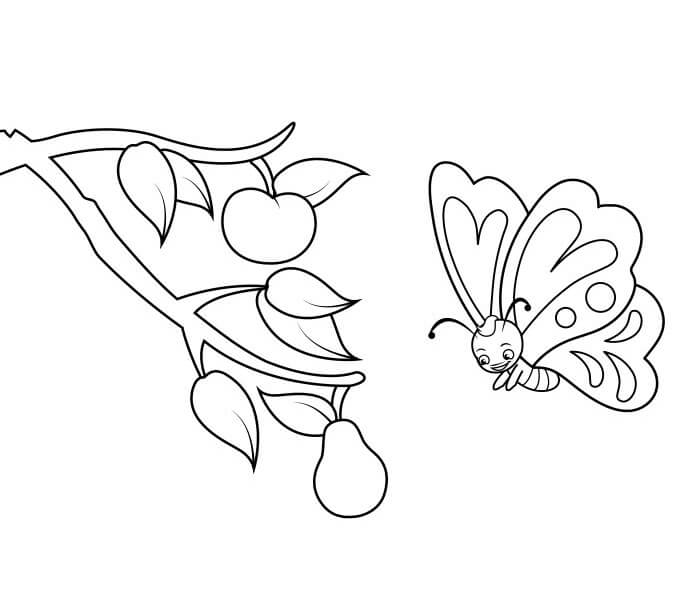 Desenho de Borboletas para imprimir
