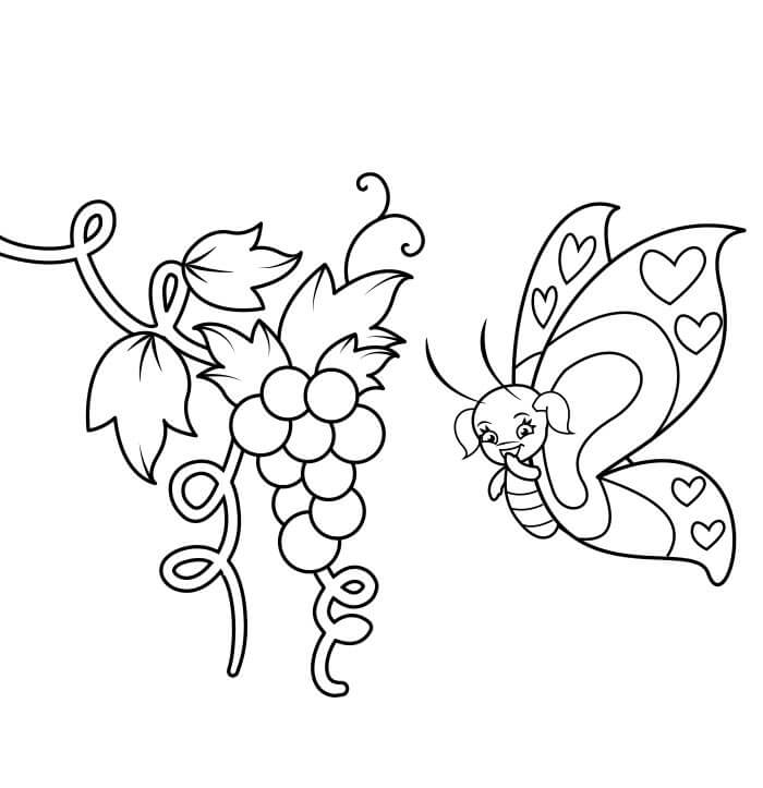 Desenho de Borboletas para imprimir