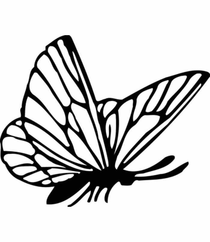 Desenho de Borboletas para imprimir
