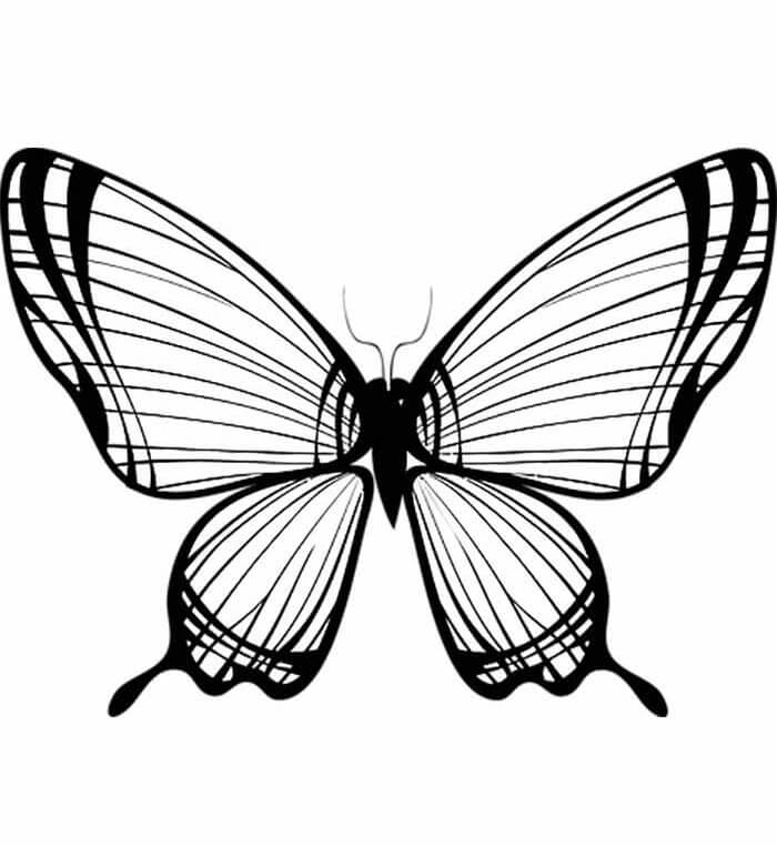 Desenho de Borboletas para imprimir