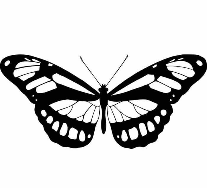 Desenho de Borboletas para imprimir