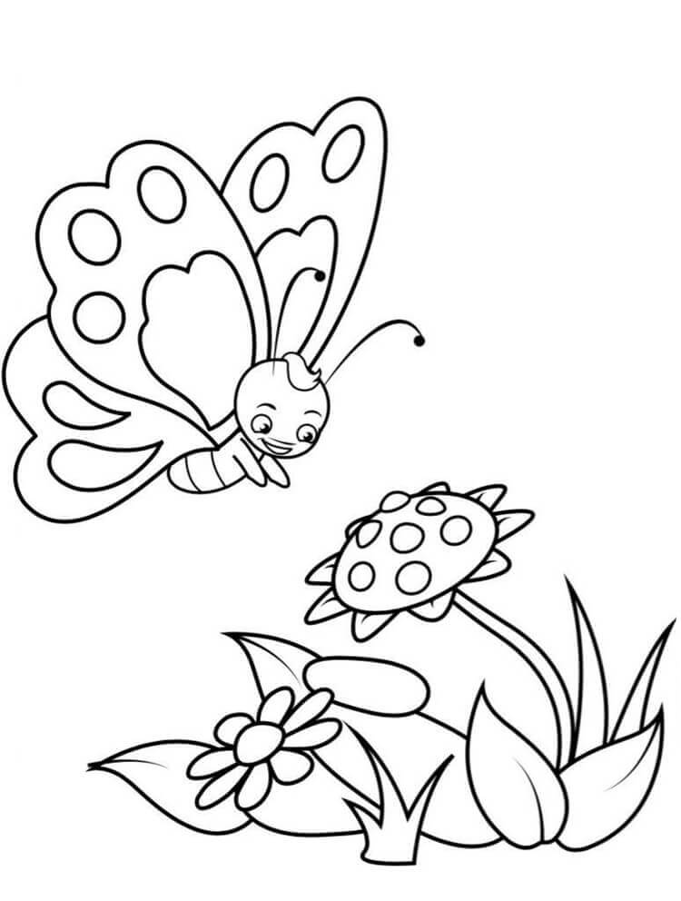 Desenho de Borboletas para imprimir