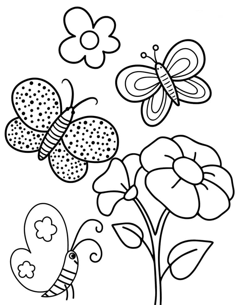 Desenho de Borboletas para imprimir