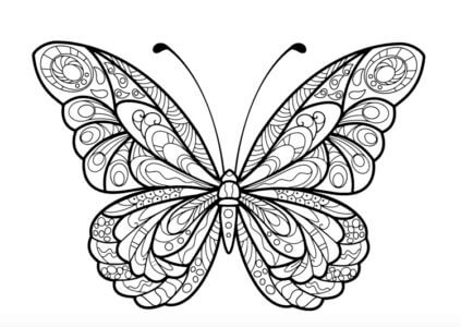 Desenho de Borboletas para imprimir