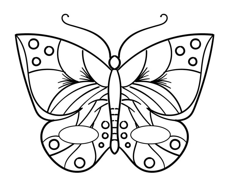 Desenho de Borboletas para imprimir