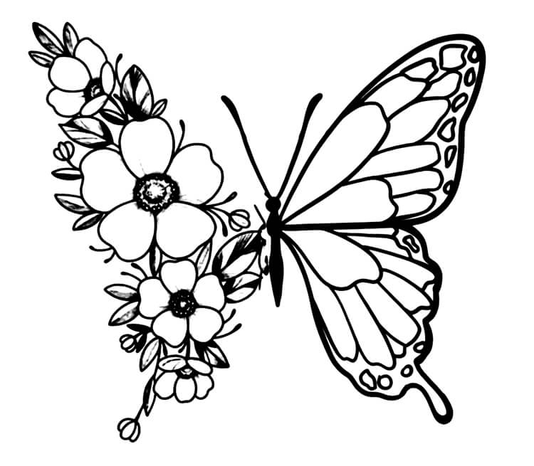 Desenho de Borboletas para imprimir