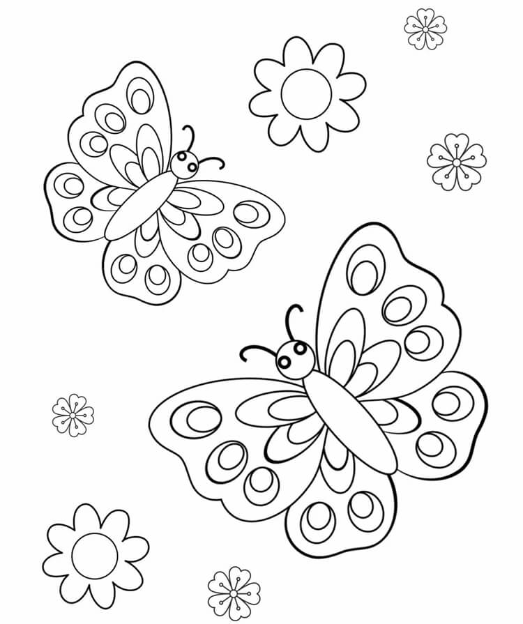 Desenho de Borboletas para imprimir