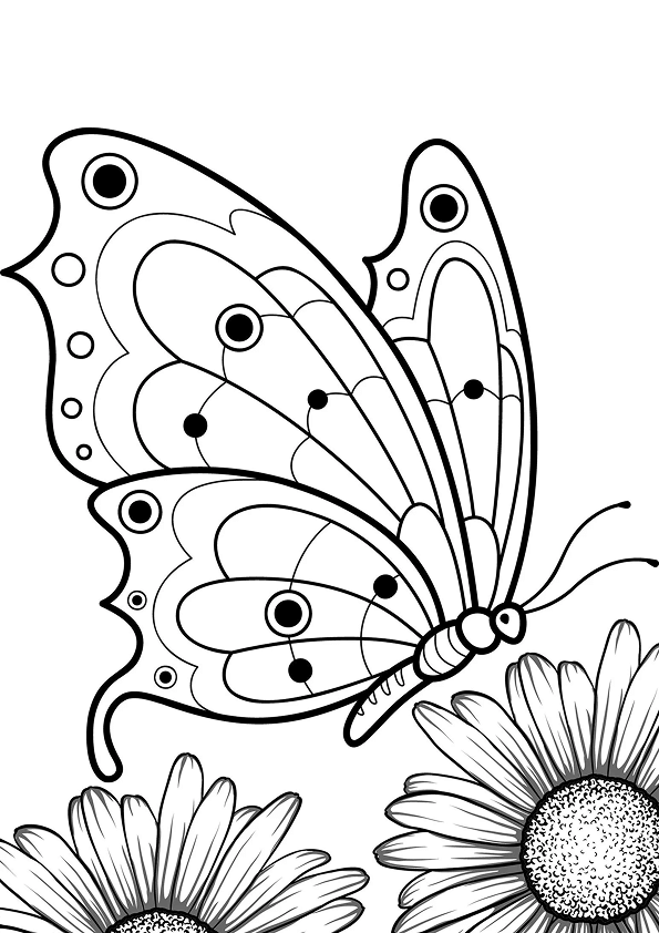 Desenho de Borboletas para imprimir