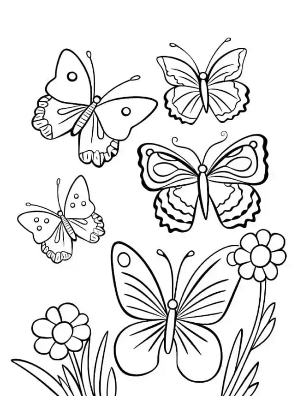 Desenho de Borboletas para imprimir
