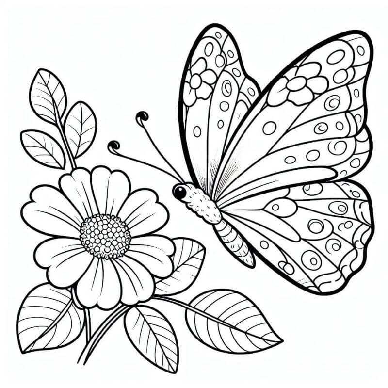 Desenho de Borboletas para imprimir