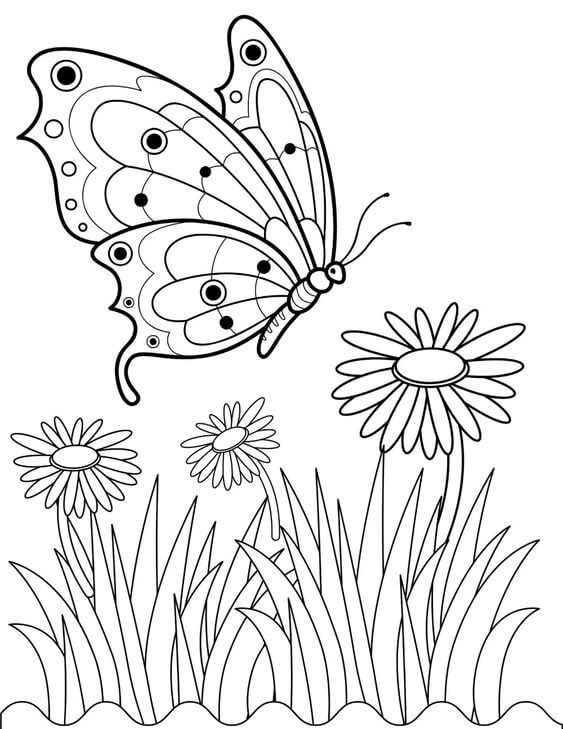 Desenho de Borboletas para imprimir