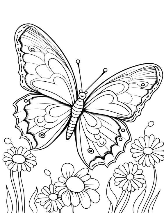 Desenho de Borboletas para imprimir