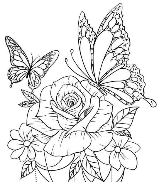 Desenho de Borboletas para imprimir