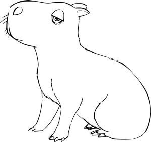 Desenho de Capivara para imprimir