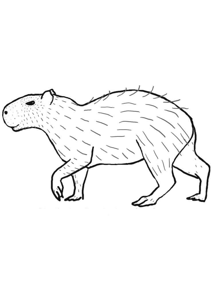Desenho de Capivara para imprimir