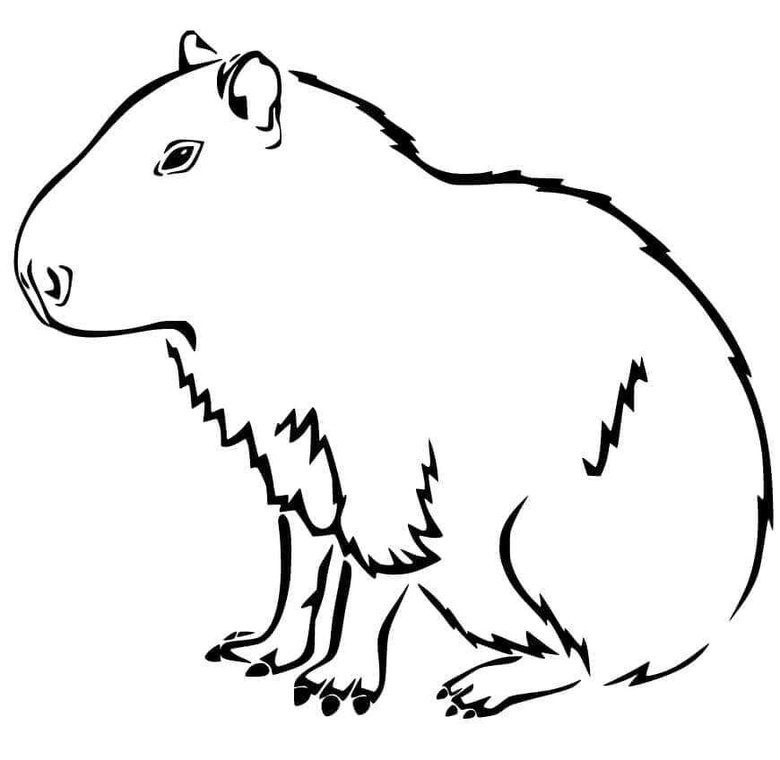 Desenho de Capivara para imprimir