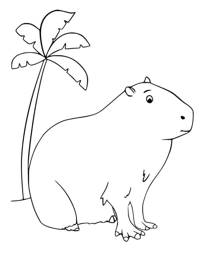 Desenho de Capivara para imprimir