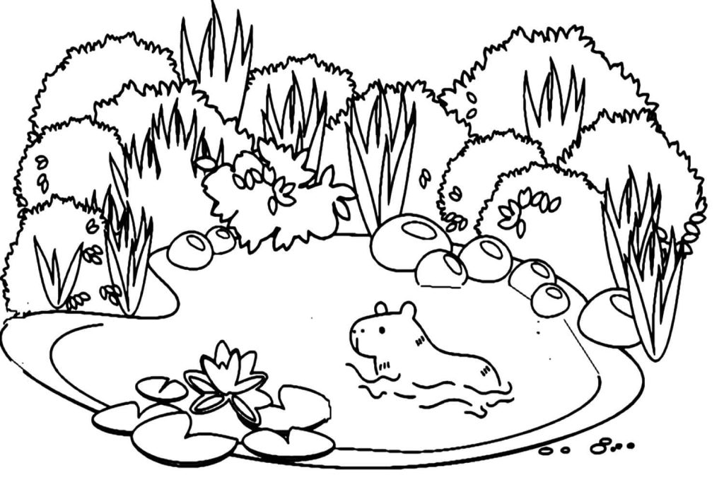 Desenho de Capivara para imprimir
