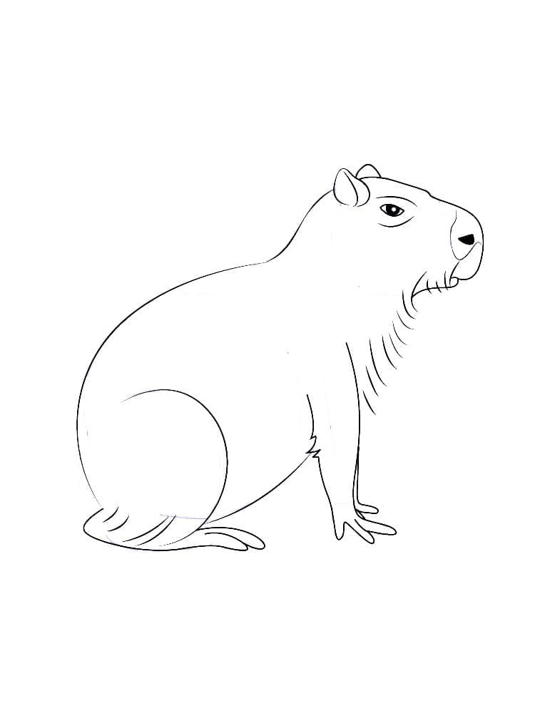 Desenho de Capivara para imprimir