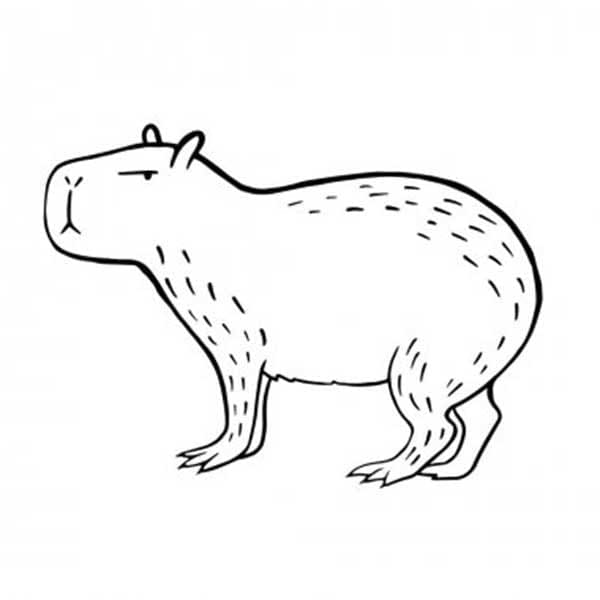 Desenho de Capivara para imprimir