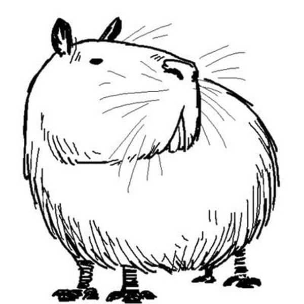 Desenho de Capivara para imprimir