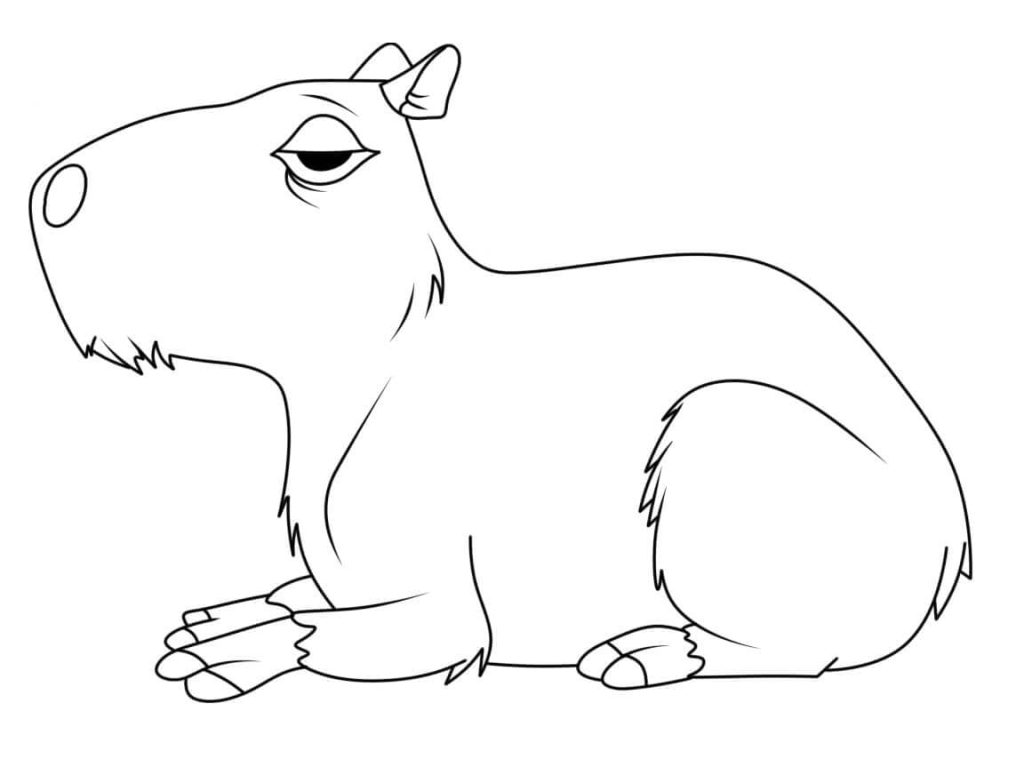 Desenho de Capivara para imprimir