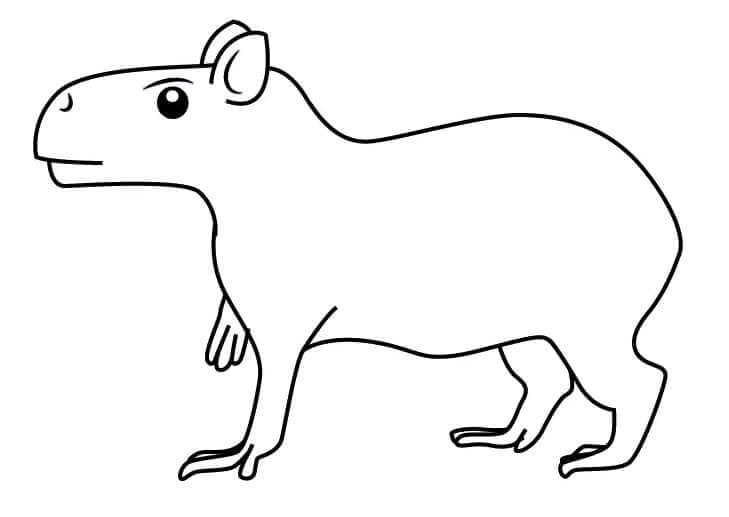 Desenho de Capivara para imprimir
