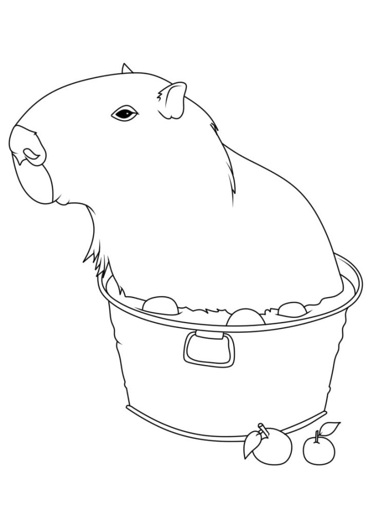 Desenho de Capivara para imprimir