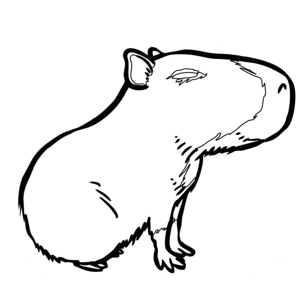 Desenho de Capivara para imprimir