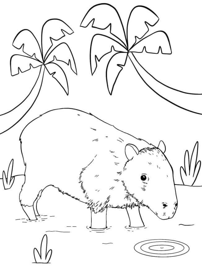 Desenho de Capivara para imprimir