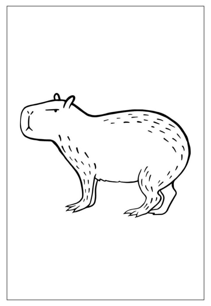 Desenho de Capivara para imprimir
